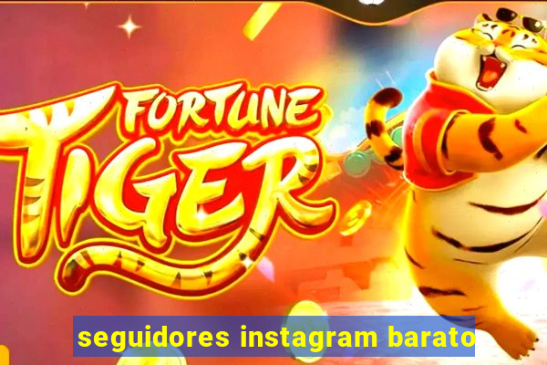 seguidores instagram barato