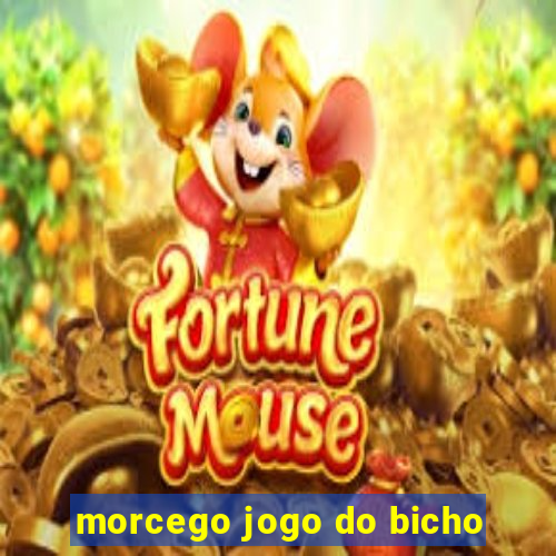 morcego jogo do bicho