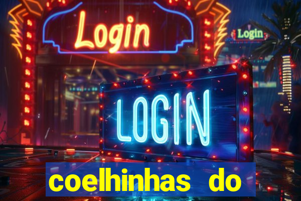 coelhinhas do brasil jp