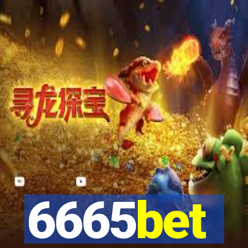 6665bet