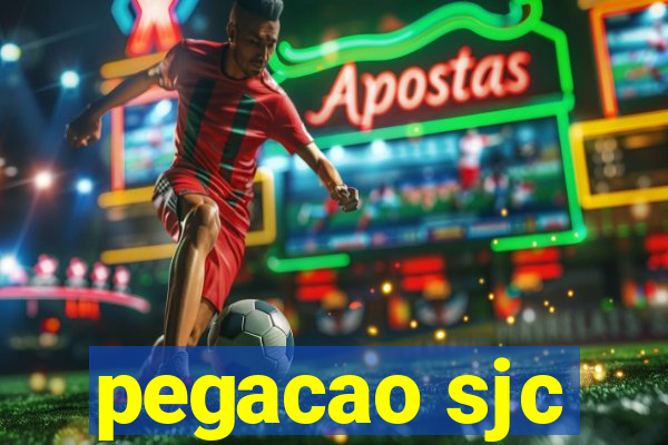 pegacao sjc