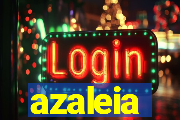 azaleia-br.com