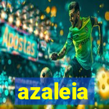 azaleia-br.com