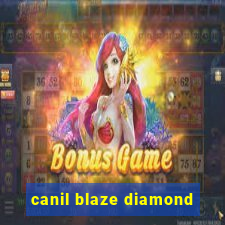 canil blaze diamond