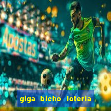 giga bicho loteria dos sonhos